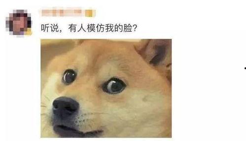 微信吃瓜表情不见了,是何原因？