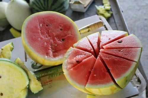 小嘉娱乐吃瓜,揭秘娱乐圈最新吃瓜事件，带你领略明星幕后故事