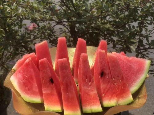 小嘉娱乐吃瓜,揭秘娱乐圈最新吃瓜事件，带你领略明星幕后故事