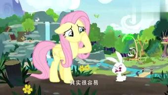 小马娱乐吃瓜,揭秘娱乐圈背后的那些事儿